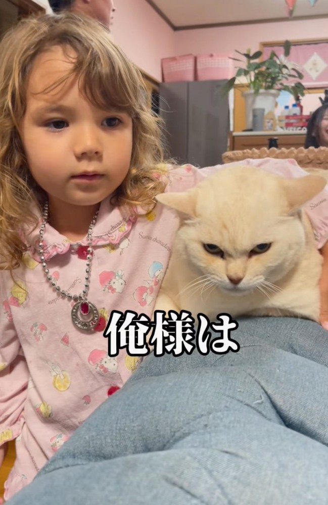 猫の肩を組む女の子