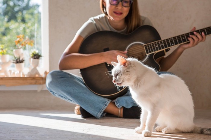 ギターを弾く女性と聴く猫