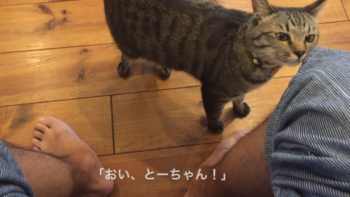 おい、とーちゃん！