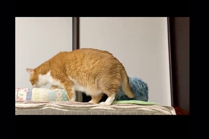 ベッドに到着
