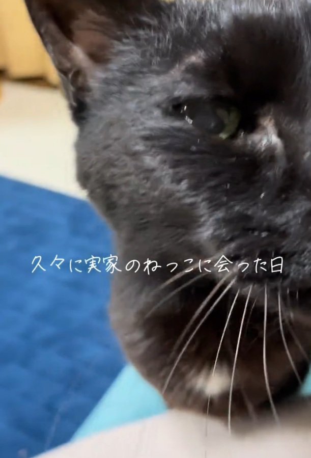 カメラを見るまりんちゃん
