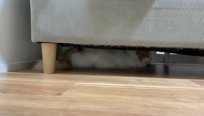 ソファの下