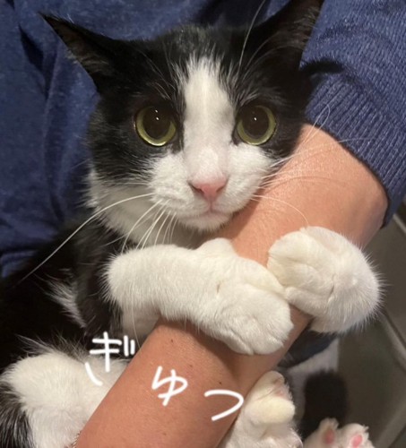 腕につかまるビビコちゃん