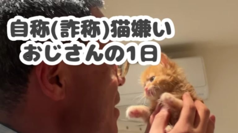 子猫を持っている男性