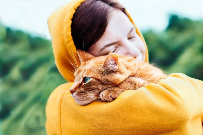 女性に抱かれる茶トラ猫
