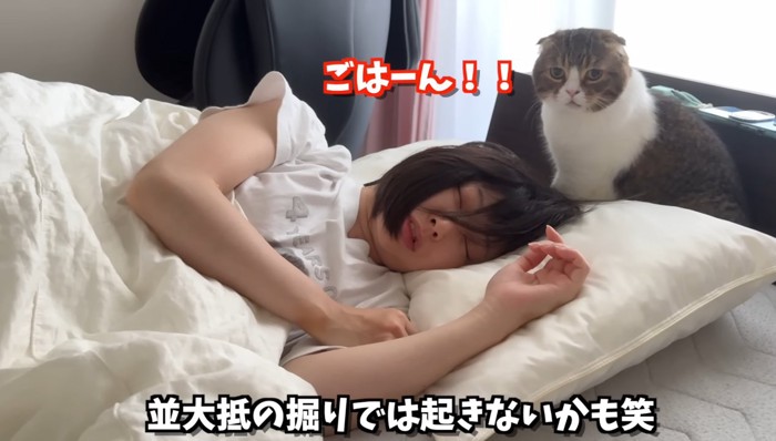 ごはーん！！