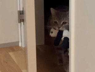 ドアの前に立つメルくん