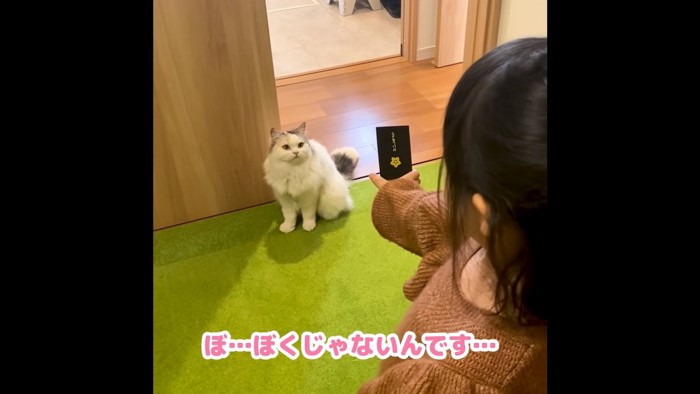 手帳を猫に見せる子供