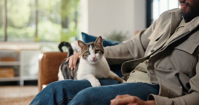 男性と猫