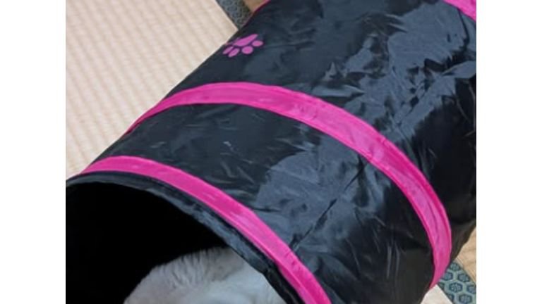 猫トンネル