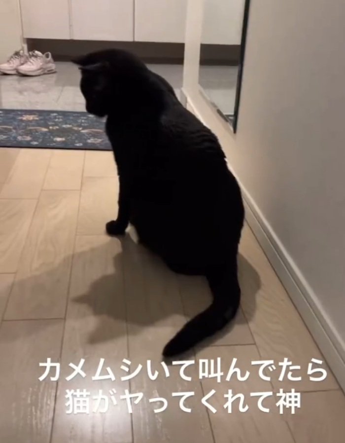 座る黒猫