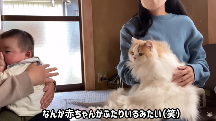 赤ちゃんと猫ちゃん