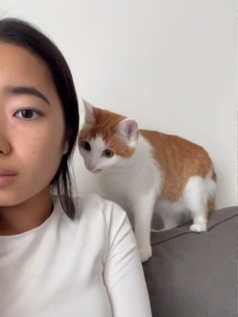 人の顔を後ろから見つめる猫