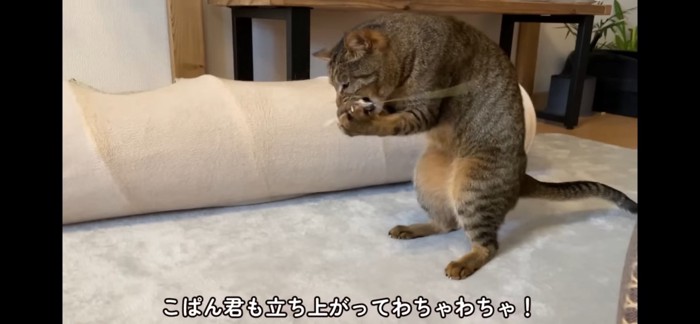 立ち上がる