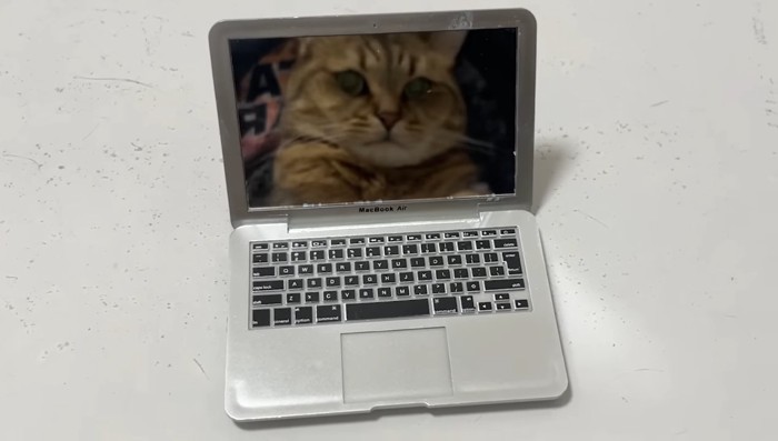 鏡に映る顔