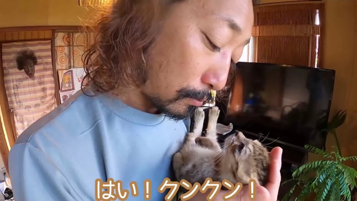 男性に抱っこされる猫