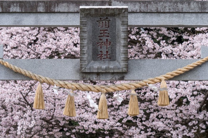 前玉神社