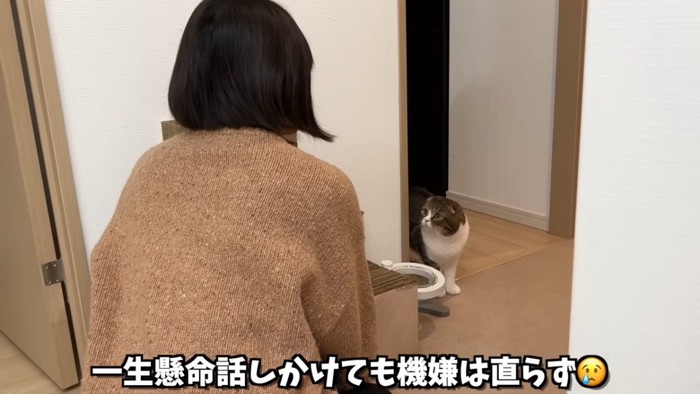 人の背中と隠れている猫