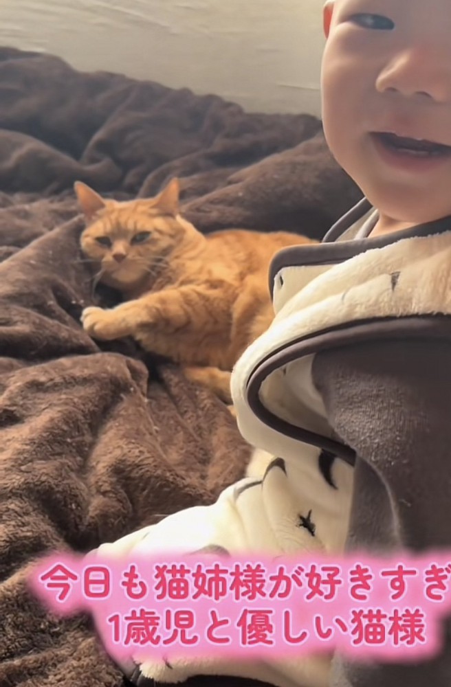 「今日も猫姉様が...」のテロップ写真1