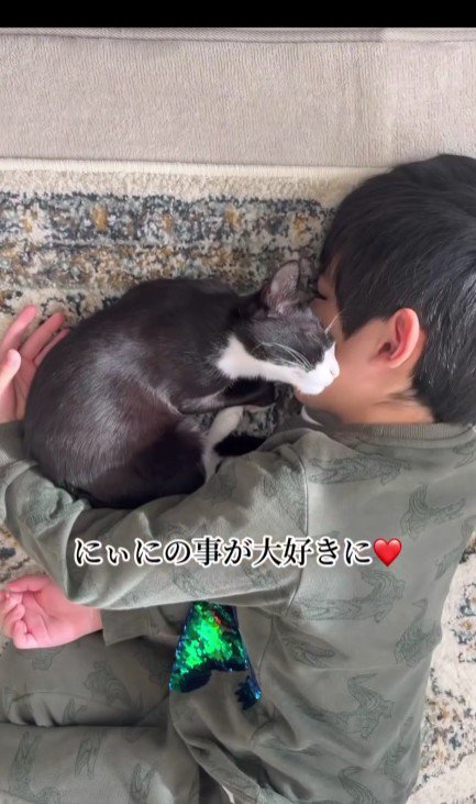一緒に寝る猫と男の子