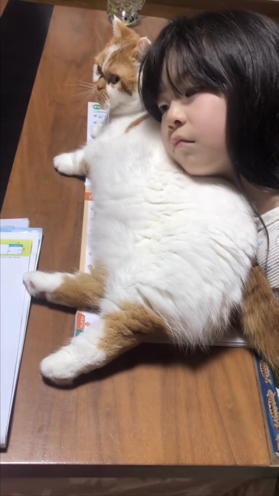 猫を枕にする女の子