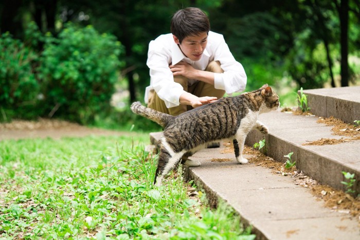 猫をなでる男性