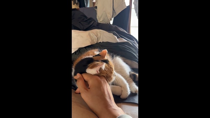 手を枕に