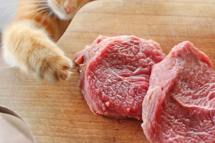 豚肉を触る猫