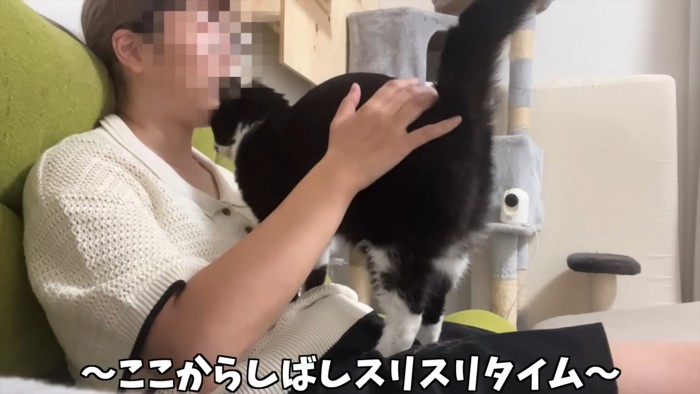 スリスリするくろまめちゃん