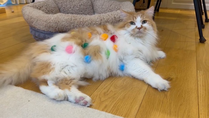 横たわるぽてちくん