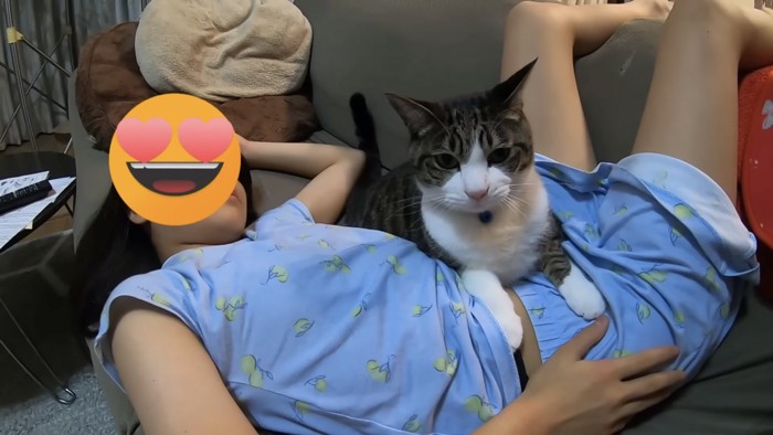 子どもの上に乗る猫の写真