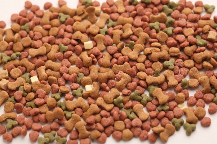 キャットフード