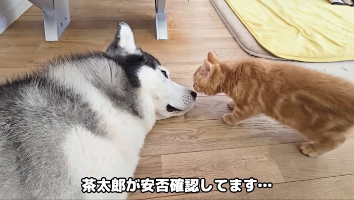 安否確認