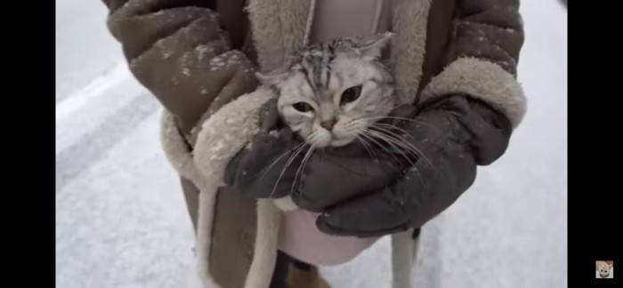 あいちゃん