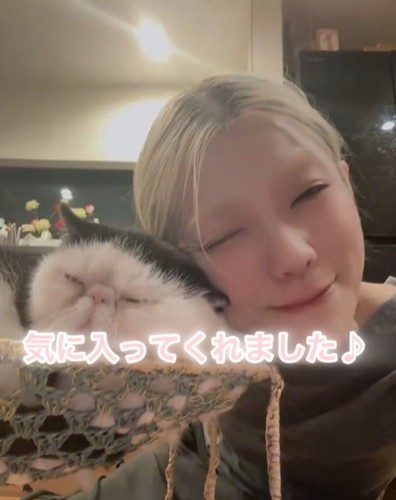 猫と人間