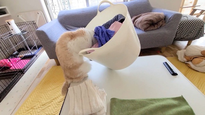 洗濯カゴ