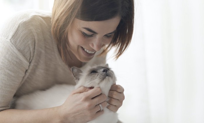 猫を後ろから撫でている女性