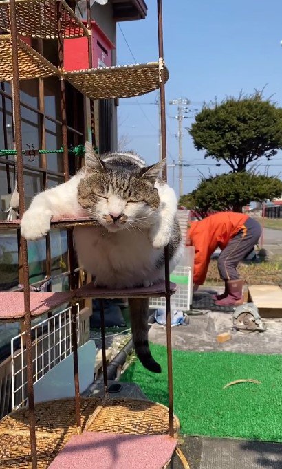 お天気が良くて気持ちいい日！