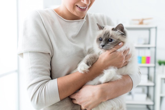 飼い主に抱っこされている猫