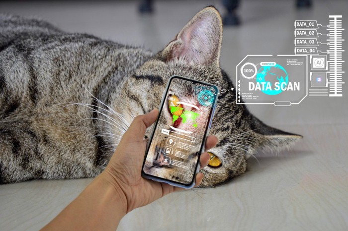 スマートフォンを猫に近づけスキャンするイメージ