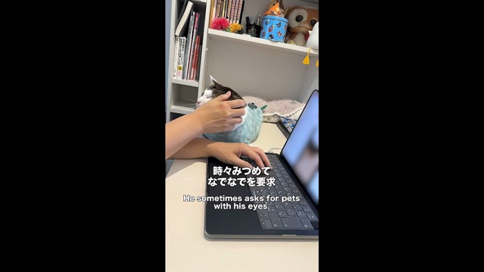 なでなでを要求