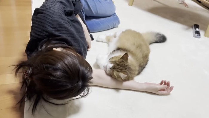 腕枕