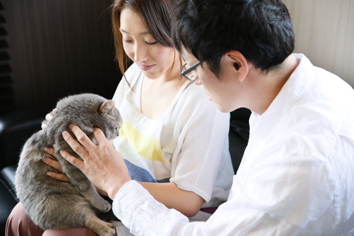 抱っこされる猫