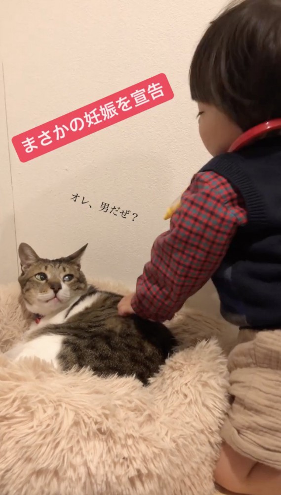 子供の行動を横目でみる猫