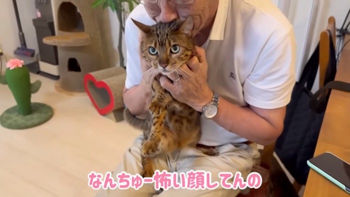 抱っこされる猫