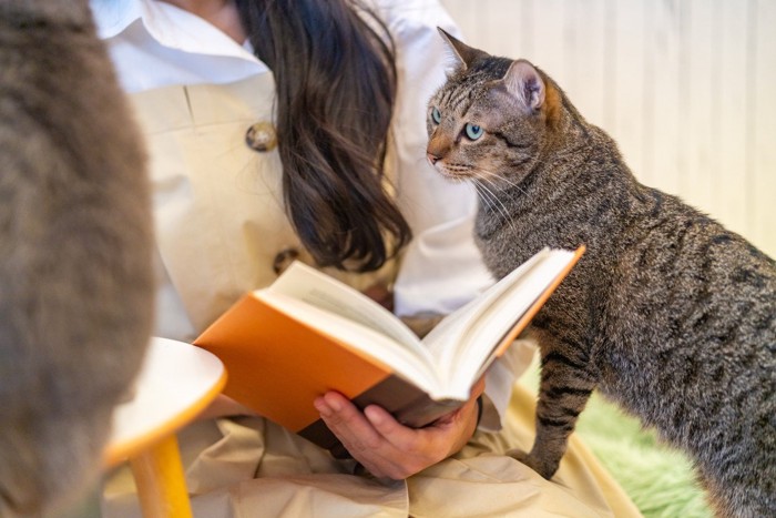 本を読む女性と猫