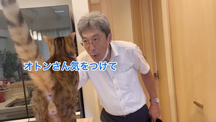 向かい合う人と猫