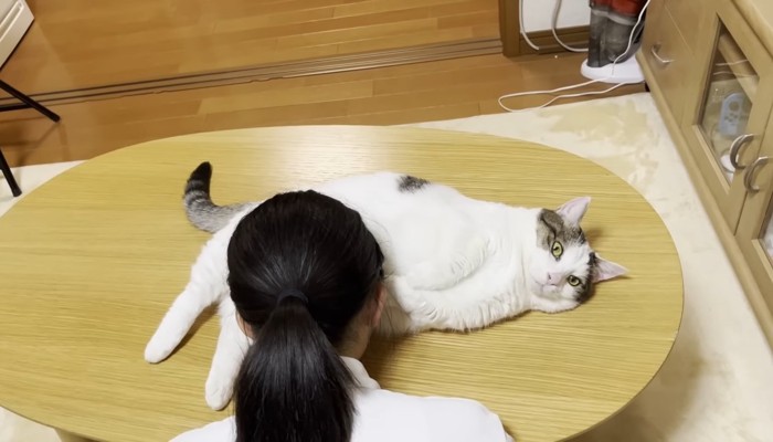 猫吸い