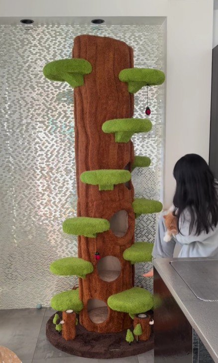 猫を抱える女の子