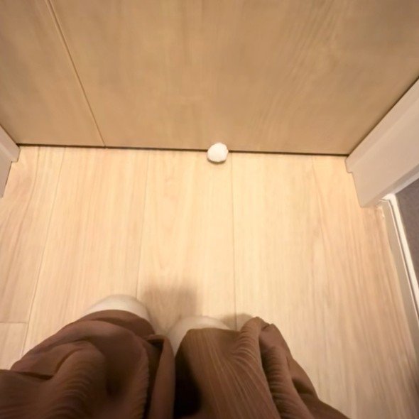 ドアの下から出てくる猫のグーの手